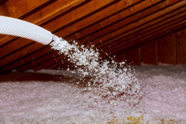 Professional Insulation Contractor in Brownsburg, IN
