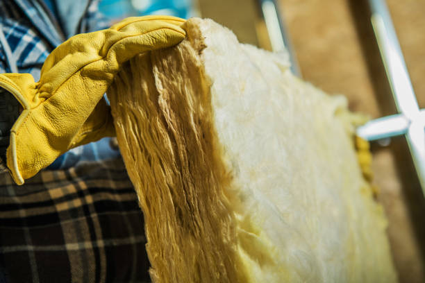Best Geographic-Specific Insulation Services in Brownsburg, IN
