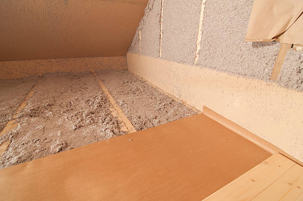 Best Eco-Friendly Insulation in Brownsburg, IN
